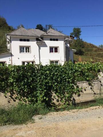 Фотографии Дома для отпуска Casa PARADISE г. Мойсей (Румыния) №1 Фото Дома для отпуска Casa PARADISE г. Мойсей 1