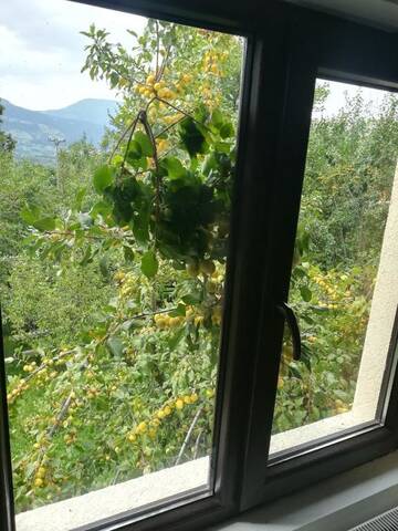 Фото номера Дом с 2 спальнями Дома для отпуска Casa Fluțar г. Мойсей 50