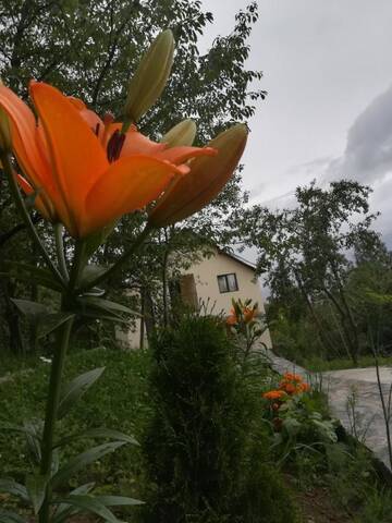 Фото номера Дом с 2 спальнями Дома для отпуска Casa Fluțar г. Мойсей 20