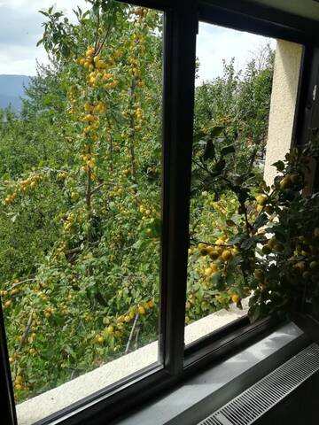 Фото номера Дом с 2 спальнями Дома для отпуска Casa Fluțar г. Мойсей 28
