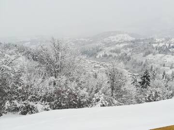 Фото номера Дом с 2 спальнями Дома для отпуска Casa Fluțar г. Мойсей 37