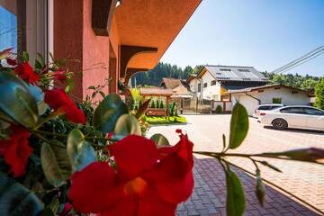 Фото номера Вилла Делюкс Виллы Vila Mery г. Мойсей 53