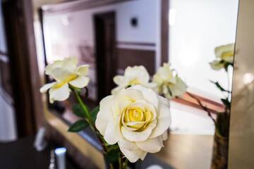 Фото номера Вилла Делюкс Виллы Perla Nordului г. Мойсей 40