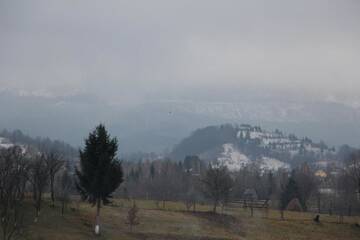 Фото номера Трехместный номер с собственной ванной комнатой Курортные отели Pensiunea DARILUX г. Мойсей 4